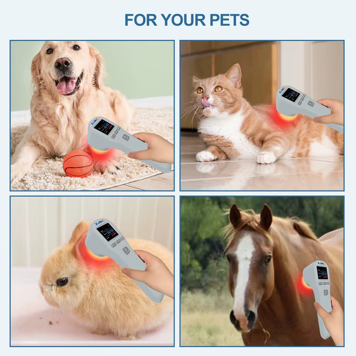 Cold Laser Therapy Vet Device for Pets 4×08Nm Red Light Therapy for Otitis Arthritis Pain Relief Home Use for Dog Cat Horse